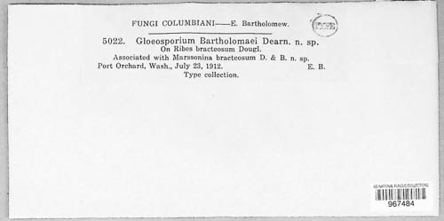 Gloeosporidiella bartholomaei image